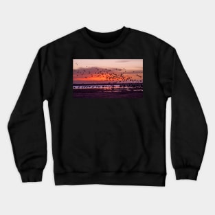 Sunrise at San Luis Valley and thousands of Cranes Crewneck Sweatshirt